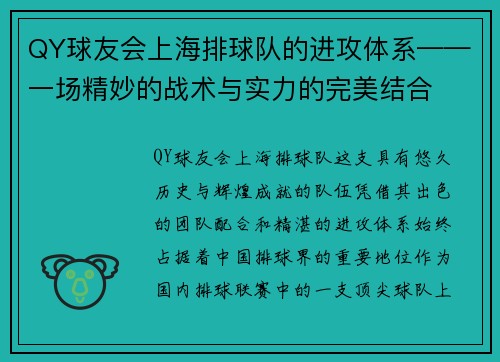 QY球友会上海排球队的进攻体系——一场精妙的战术与实力的完美结合